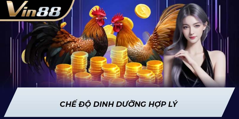 Chế độ dinh dưỡng hợp lý