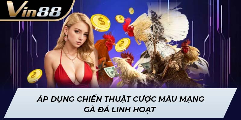 Áp dụng chiến thuật cược màu mạng gà đá linh hoạt