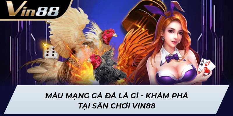 Màu Mạng Gà Đá